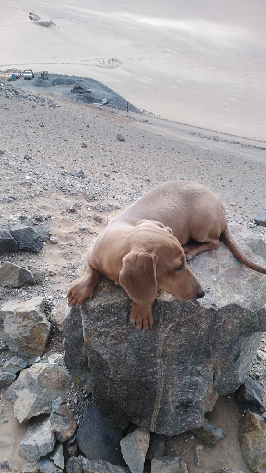 MINA LA PROBLEMA  DEL 1 AL 10.-