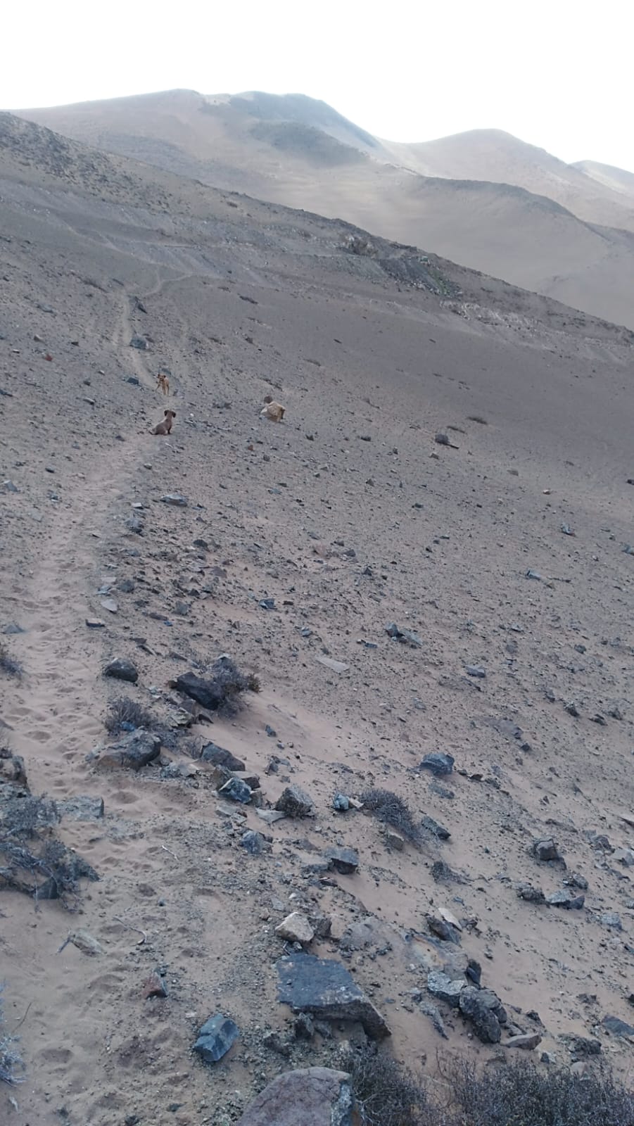 MINA LA PROBLEMA  DEL 1 AL 10.-