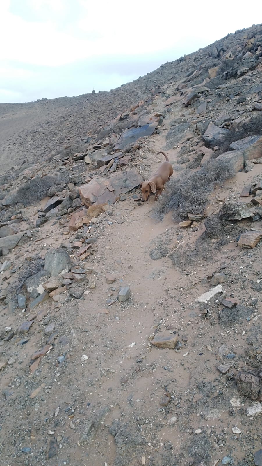 MINA LA PROBLEMA  DEL 1 AL 10.-