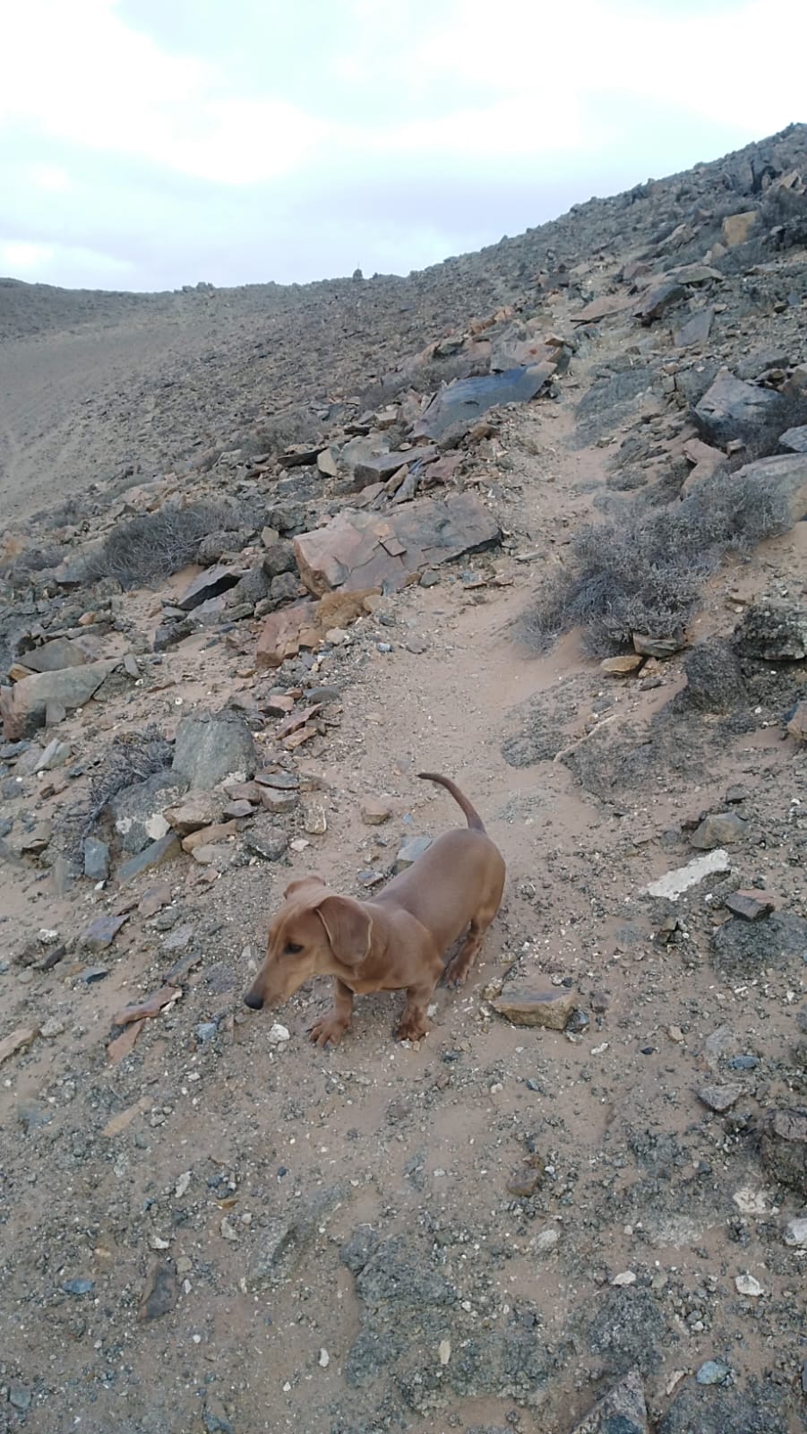 MINA LA PROBLEMA  DEL 1 AL 10.-