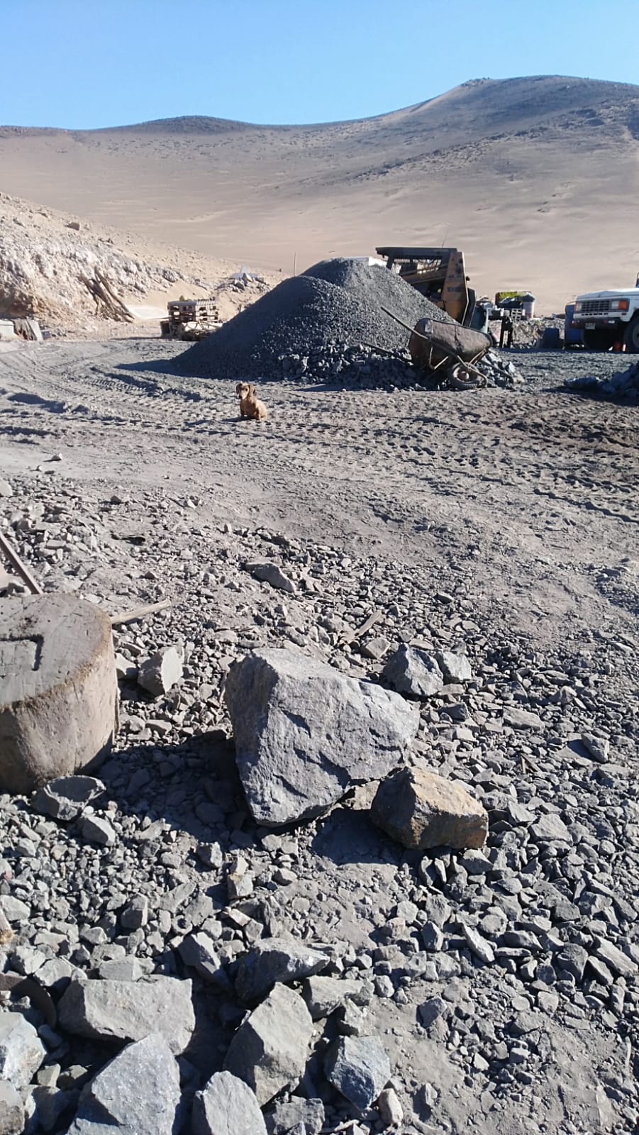 MINA LA PROBLEMA  DEL 1 AL 10.-