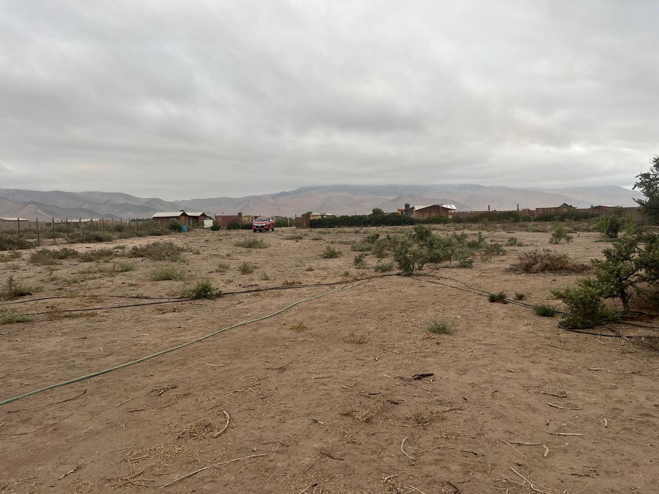 LINDA PARCELA VALLE FERTIL.- 5.000 M2.