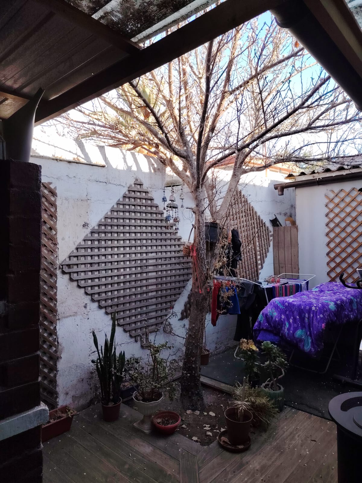 ARRIENDO CASA AV.LOS CARRERA-PRINCIPALMENTE EMPRESAS