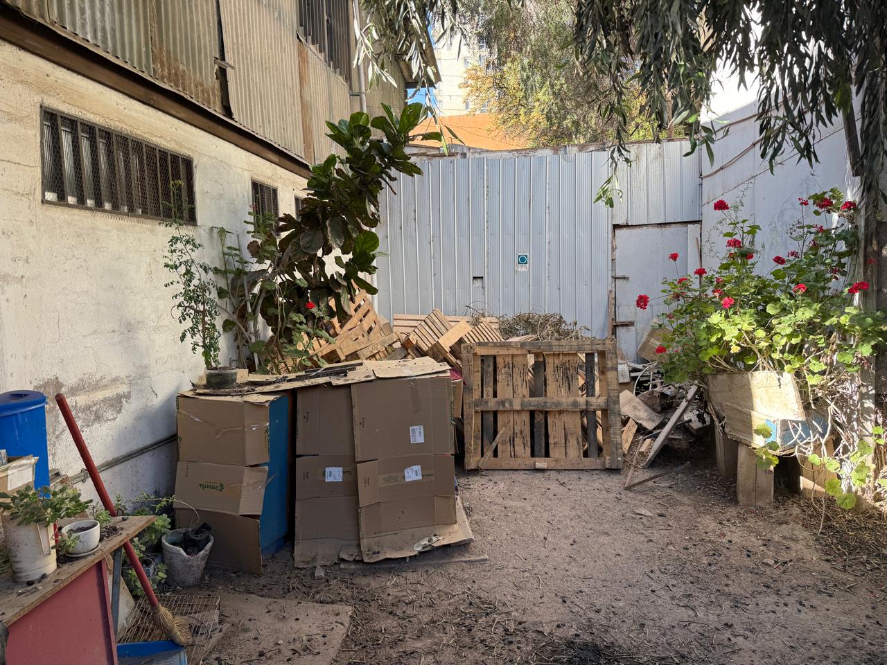 LOCAL COMERCIAL-PREFERENTEMENTE FARMACIA